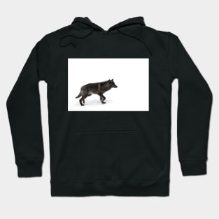 Black Wolf in winter Hoodie